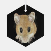 Cute Waterverf Mouse Peking Animal Art Glas Ornament (Achterkant)