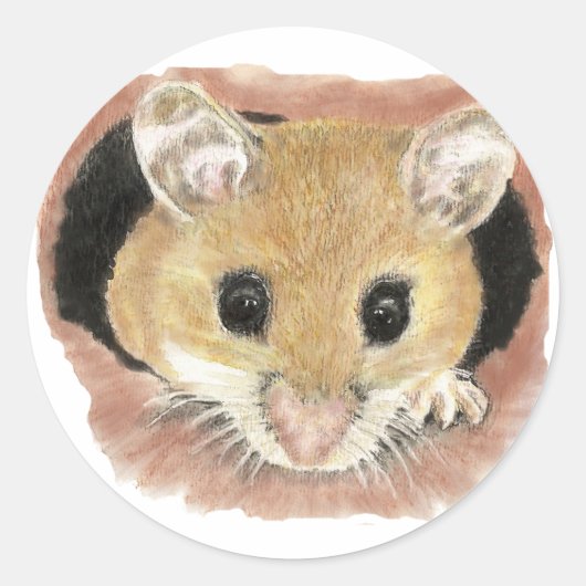 Cute Waterverf Pocket Mouse Sticker (Voorkant)