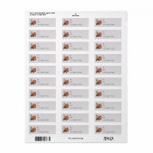 Cute Waterverf Walrus kerstcadeau Label Label (Full Sheet)