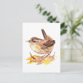 Cute Waterverf Wren Bird, Natuur, Wildlife Briefkaart (Staand voorkant)