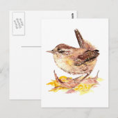 Cute Waterverf Wren Bird, Natuur, Wildlife Briefkaart (Voorkant / Achterkant)