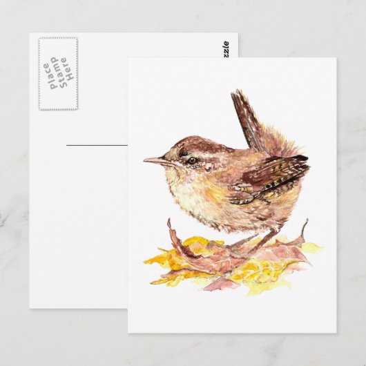 Cute Waterverf Wren Bird, Natuur, Wildlife Briefkaart (Voorkant / Achterkant)