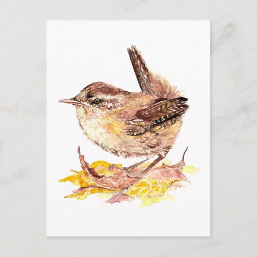 Cute Waterverf Wren Bird, Natuur, Wildlife Briefkaart (Voorkant)