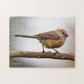 Cute Wee Bushtit Songbird on Fruit Tree Legpuzzel (Horizontaal)