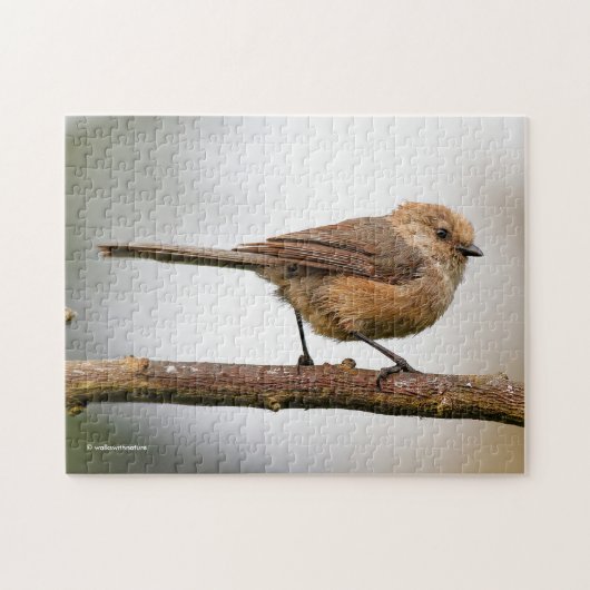 Cute Wee Bushtit Songbird on Fruit Tree Legpuzzel (Horizontaal)