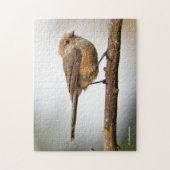 Cute Wee Bushtit Songbird on Fruit Tree Legpuzzel (Verticaal)