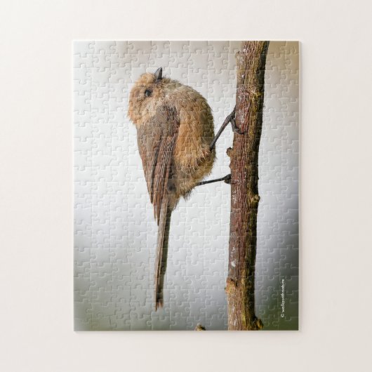 Cute Wee Bushtit Songbird on Fruit Tree Legpuzzel (Verticaal)