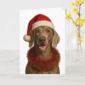 Cute Weimaraner Christmas card Kaart (Gele Bloem)