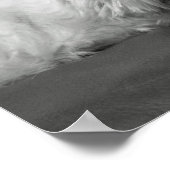 Cute West Highland Terrier Dog Poster (Hoek)