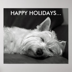 Cute West Highland Terrier Dog Poster