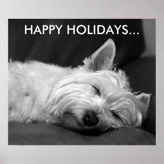 Cute West Highland Terrier Dog Poster (Voorkant)