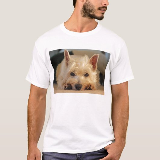 Cute West Highland Terrier Dog T Shirt (Voorkant)