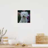 Cute West Highland White Terrier Poster (Keuken)