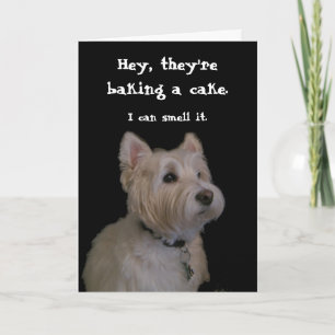 Cute Westie Birthday Card Kaart