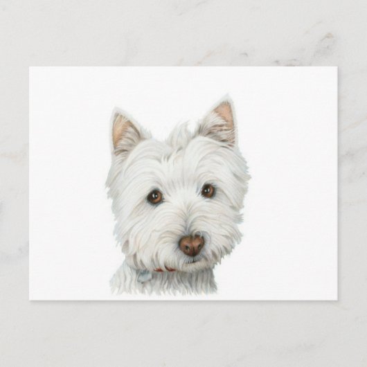 Cute Westie Dog briefkaart (Voorkant)