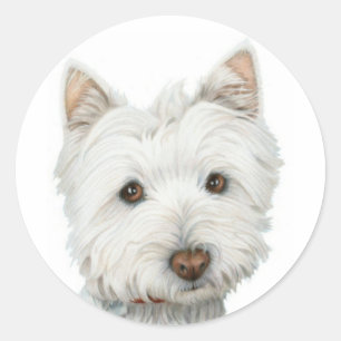Cute Westie Dog Ronde Sticker