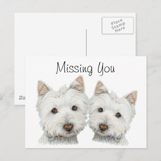Cute Westie Dogs Briefkaart (Voorkant / Achterkant)