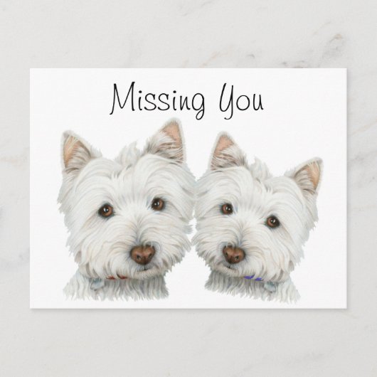 Cute Westie Dogs Briefkaart (Voorkant)