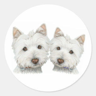 Cute Westie Dogs Ronde Sticker