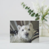Cute Westie Face Photo Briefkaart (Staand voorkant)