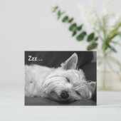 Cute Westie (West Highland Terrier) Dog Briefkaart (Staand voorkant)