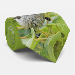 Cute Wet Wee Bushtit op de Laurel Stropdas