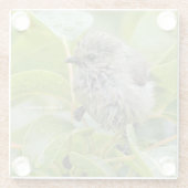 Cute Wet Wee Bushtit Songbird on Laurel Glazen Onderzetter (Achterkant)