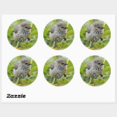 Cute Wet Young Bushtit Songbird on the Laurel Ronde Sticker (Vel)