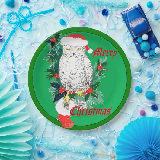 Cute Whimsical Kerstowl Stocking Ontworpen Papieren Bordje (Feest)