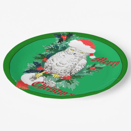 Cute Whimsical Kerstowl Stocking Ontworpen Papieren Bordje (Gekanteld)