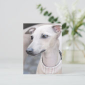 Cute Whippet Briefkaart (Staand voorkant)