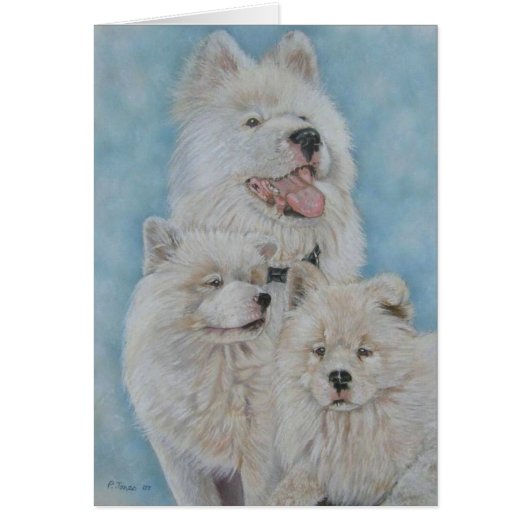 Cute white akita long mantel realist portret blanc (Voorkant)