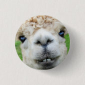 Cute White Alpaca Face Ronde Button 3,2 Cm (Voorkant)