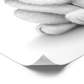 Cute White Baby Bunny Rabbit Poster (Hoek)