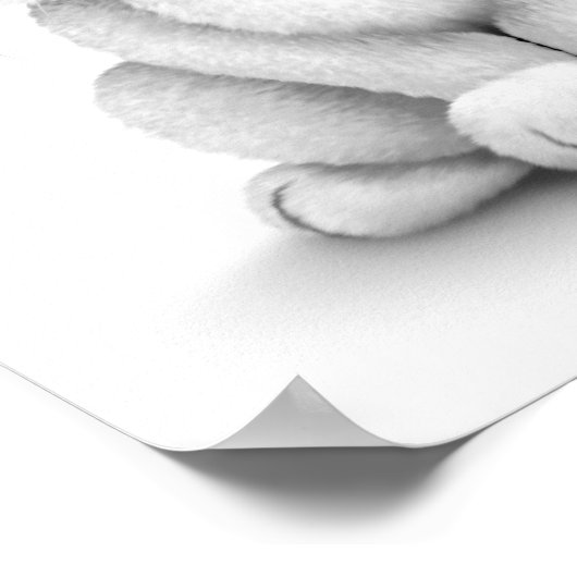 Cute White Baby Bunny Rabbit Poster (Hoek)