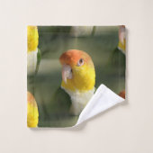 Cute White Bellied Caique Parrot Bad Handdoek (Wasdoekje)