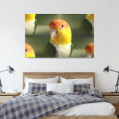 Cute White Bellied Caique Parrot Canvas Afdruk (Insitu (Slaapkamer))