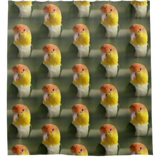 Cute White Bellied Caique Parrot Douchegordijn (Voorkant)