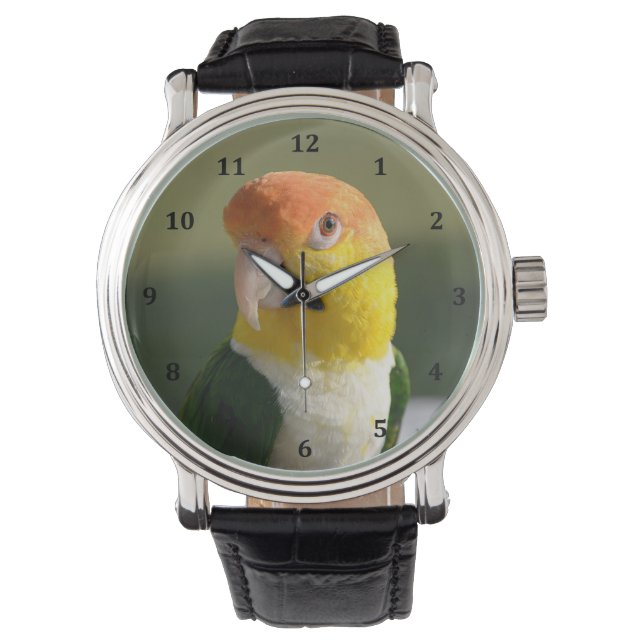 Cute White Bellied Caique Parrot Horloge (Voorkant)
