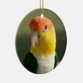 Cute White Bellied Caique Parrot Keramisch Ornament (Rechts)