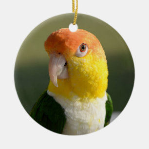 Cute White Bellied Caique Parrot Keramisch Ornament
