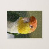 Cute White Bellied Caique Parrot Legpuzzel (Horizontaal)