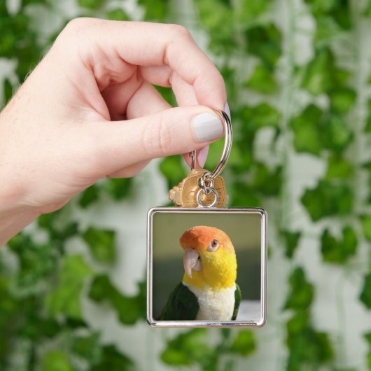 Cute White Bellied Caique Parrot Sleutelhanger (Hand)