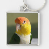 Cute White Bellied Caique Parrot Sleutelhanger (Voorkant)