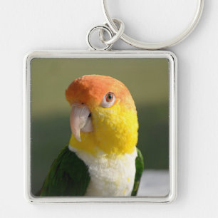 Cute White Bellied Caique Parrot Sleutelhanger