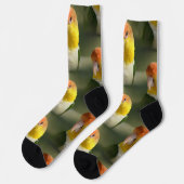 Cute White Bellied Caique Parrot Sokken (Links)