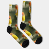 Cute White Bellied Caique Parrot Sokken (Rechts)