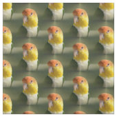 Cute White Bellied Caique Parrot Stof (Swatch)