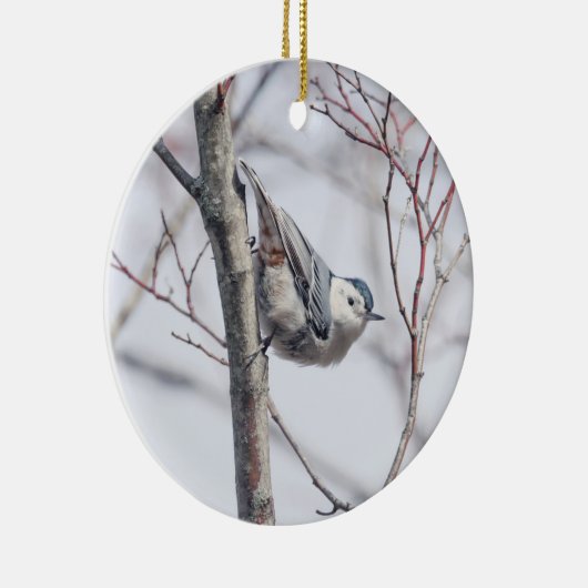 Cute White-Breasted Nuthatch Ornament (Rechts)