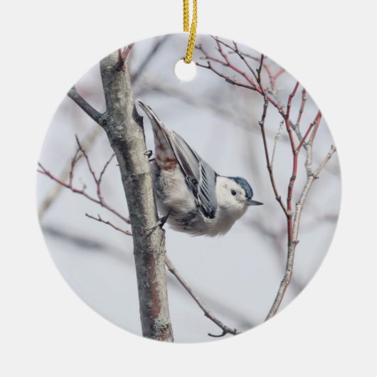 Cute White-Breasted Nuthatch Ornament (Voorkant)
